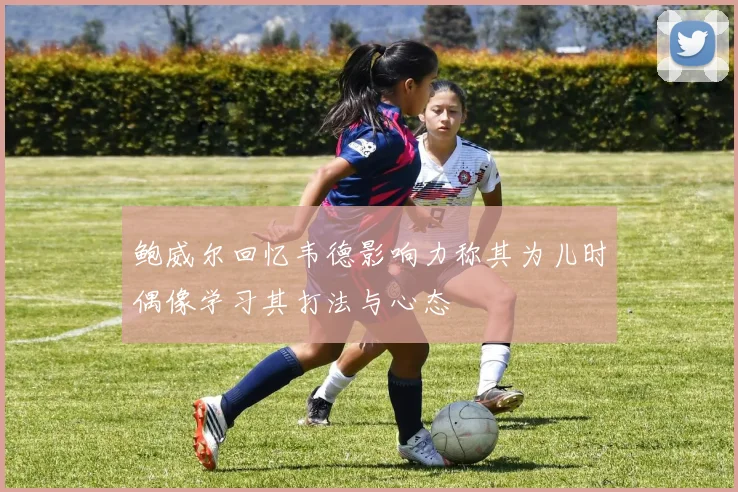 鲍威尔回忆韦德影响力称其为儿时偶像学习其打法与心态