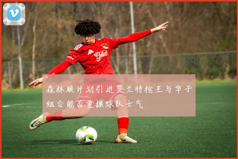 森林狼计划引进莫兰特枪王与华子组合能否重振球队士气